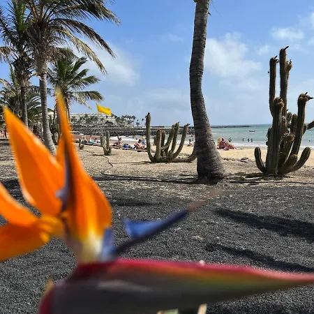 Casa Minerva * コスタ・テギセ