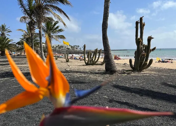 Casa Minerva * 코스타 테기세